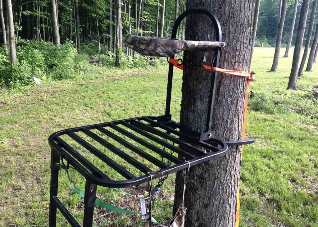 different type of tree stands